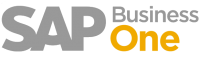 SAP Partner
